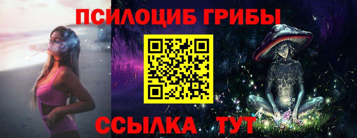 Галлюциногенные грибы GOLDEN TEACHER  Вход с VPN  Куйбышев 